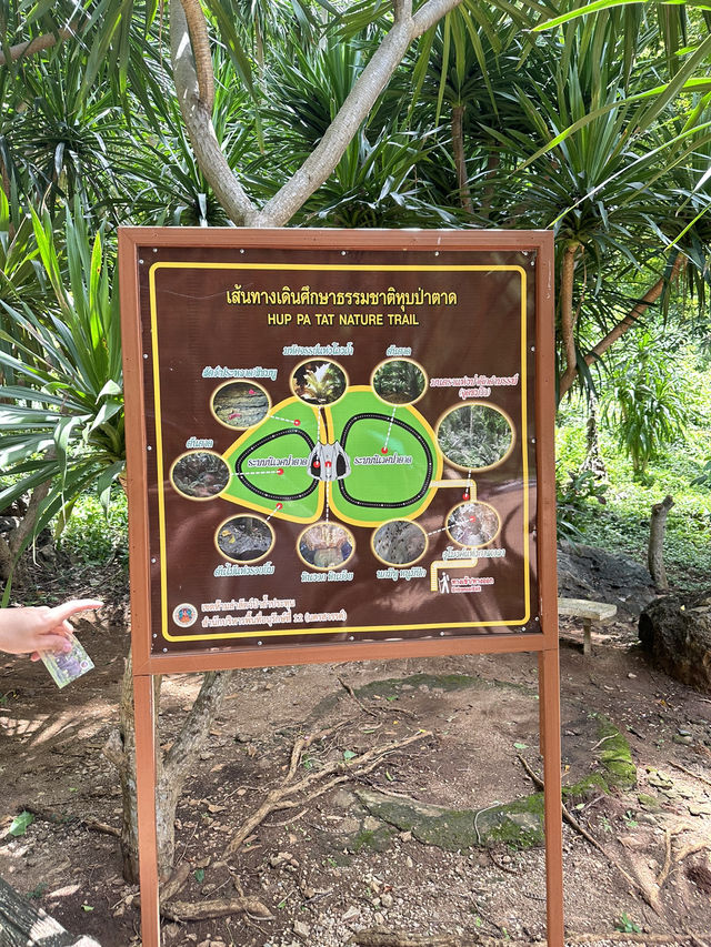 ⛰️ หุบป่าตาด ป่าดึกดำบรรพ์เมืองไทย