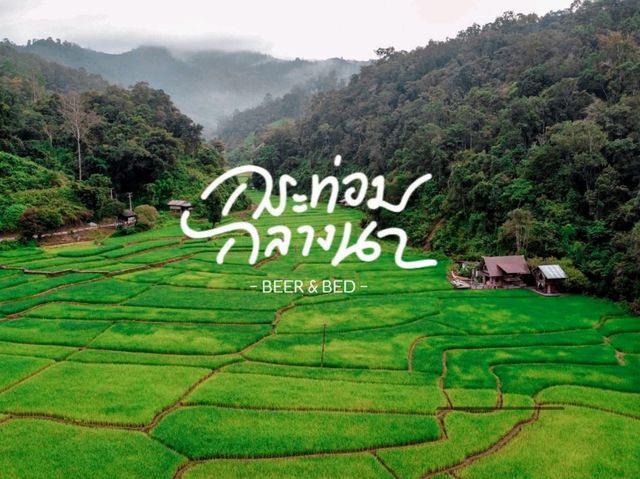 โฮมสเตย์เชียงใหม่...รอบบ้านมีนา🌾 บนฟ้ามีดาว⭐