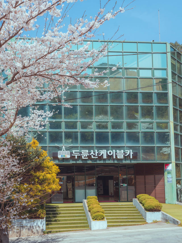벚꽃 케이블카타고 두륜산 정상까지 갈 수 있는 방법”두륜산 케이블카“