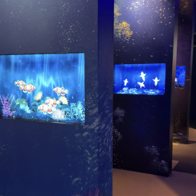 五感で感じる体験‼️デジタル海さんぽ