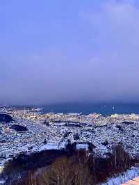 โอซาก้า🇯🇵