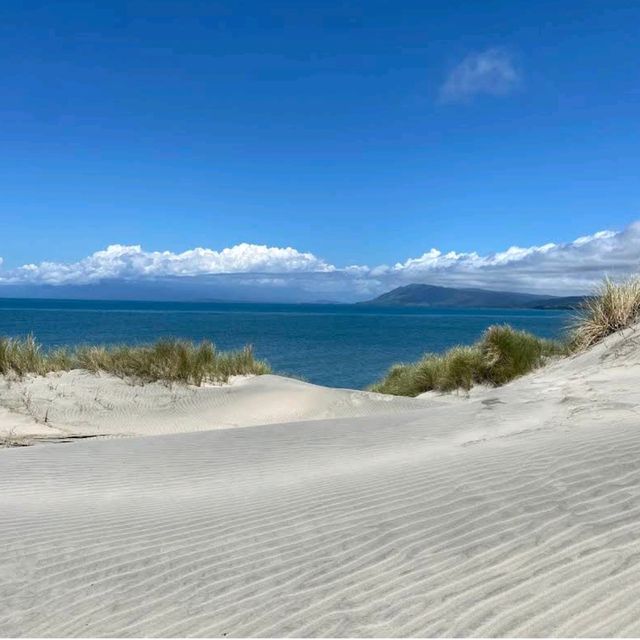 Farewell Spit