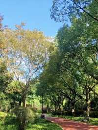 Century Park on a Budget: My Day Outdoors in Shanghai