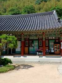 숲속 고요를 만나는 힐링 산책