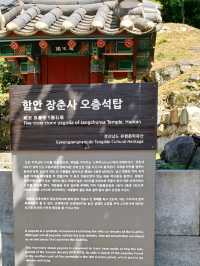 숲속의 고즈넉한 천년고찰 🕊️
