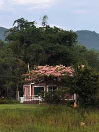 Thammachard Campground ลานกางเต็นท์ ธรรมชาติ