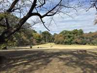 🌸 Serenity in the City: Morning Strolls & Scenic Sips at Shinjuku Gyoen 🌿