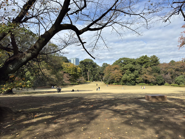 🌸 Serenity in the City: Morning Strolls & Scenic Sips at Shinjuku Gyoen 🌿