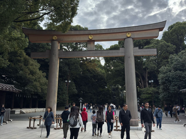 ⛩️ Shrine Among the Trees: Meiji Jingu’s Beauty Meets Tokyo’s Buzz 🌲