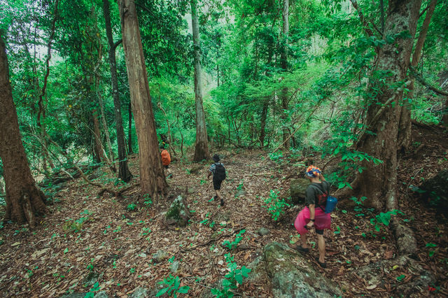 เดินป่า 5 วัน 4 คืน ที่แม่ฮ่องสอน Doister Hardtrek