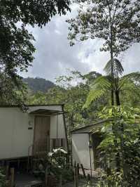 Kireina Genting Villa & Cafe, A Tranquil Escape in Genting Highlands