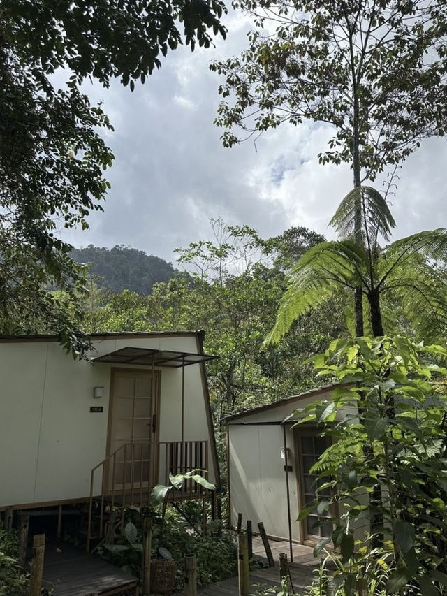 Kireina Genting Villa & Cafe, A Tranquil Escape in Genting Highlands