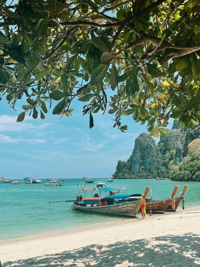 🌴🚤 Paradise Found! | Phi Phi Island Cruise  🇹🇭✨