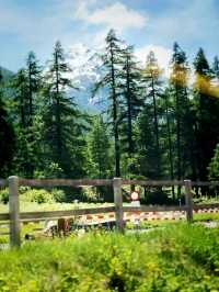 Alpine Serenity: Summer Escape to Randa, Switzerland