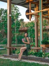 Starbucks Bird Paradise Singapore