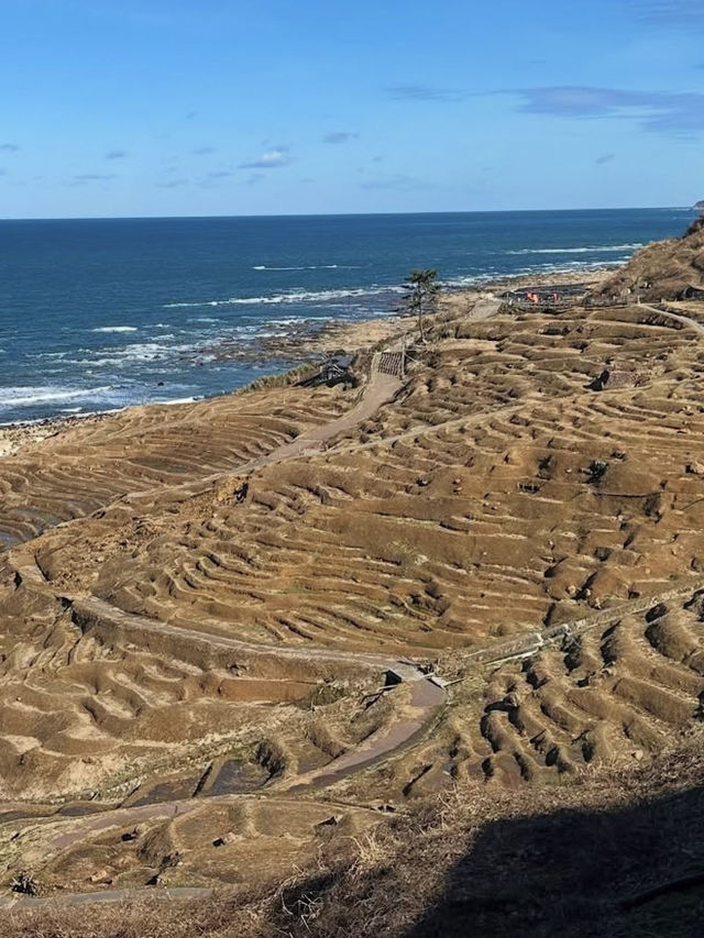 海に続く棚田の絶景🌾白米千枚田で心ほどける自然旅