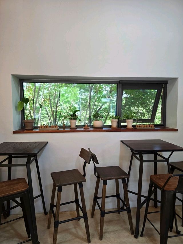 6월에 가면 더 예쁠 괴산 정원카페🌳