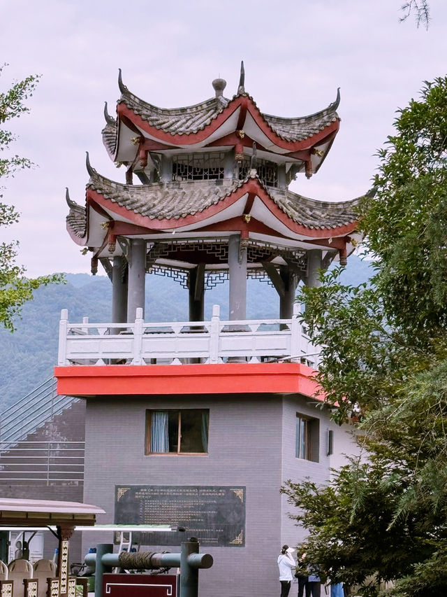 🌊 Dujiangyan Summer Survival Guide