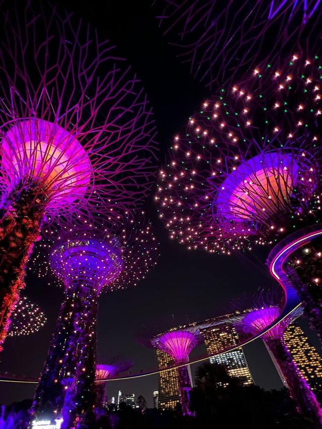 🇸🇬 เที่ยวสิงคโปร์ 3 วัน 2 คืน (สำหรับมือใหม่)