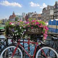 🚴‍♂️🌷 Summer Cycling Around Museumplein: Art, Parks & Amsterdam’s Iconic Squares