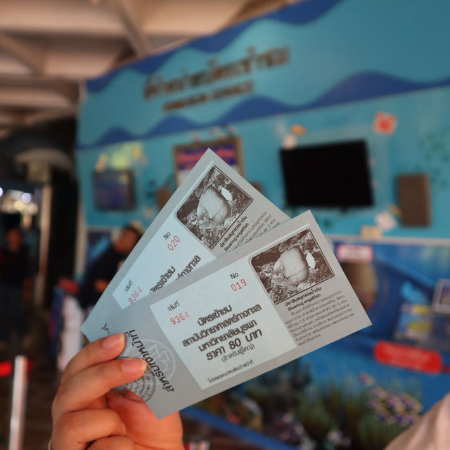 Bangsaen Aquarium เที่ยวชิล ๆ ได้ความรู้ไปด้วย 