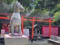 戀愛紅色打卡點❤️犬山城下的三光稻荷神社⛩️🦊