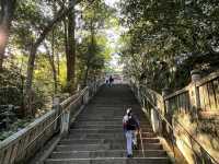 Stairway to Shrine Heaven at Kotohira 