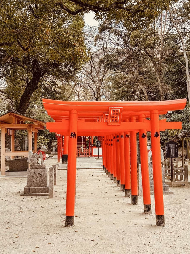 🌞🏯 Summer Weekend in Fukuoka: Food, Festivals & Island Escapes 