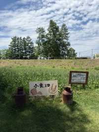 🍞十勝素材100%！広大な敷地で味わう「麦音（むぎおと）」