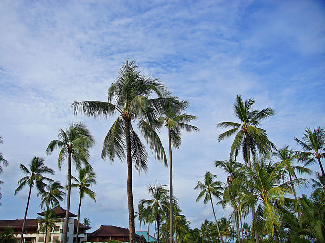 🏖️ Nusa Dua Beach Hotel & Spa – A Slice of Balinese Paradise