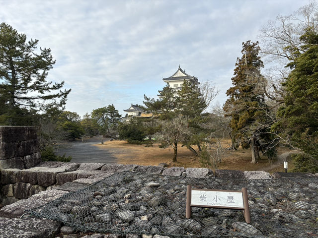 伊賀上野城（石垣非常壯觀）