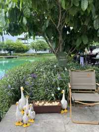  C-Kids Village🌳 สถานที่ตอบโจทย์ทุกคนในครอบครัว