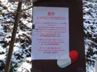 🐒 Jigokudani Yaen-Koen – A Snow Monkey Experience Worth the Hike