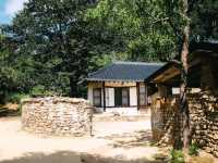 Live Your 'Little Forest' Dream