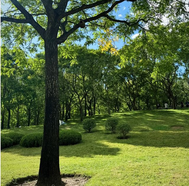 ～玉照公園～綠綠的美～