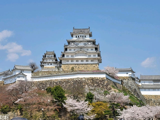 古城與櫻花的浪漫邂逅/姬路城/白鷺城