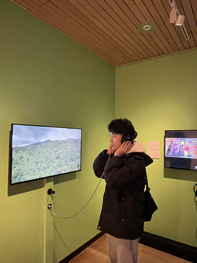 🎨紐西蘭小眾藝術之旅｜懷卡托美術文化博物館 Waikato Museum｜走進毛利與現代的交界