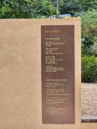 수지 마지모우🩷
