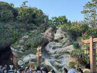 🎢【東京迪士尼樂園｜回到童年夢想的奇幻旅程】