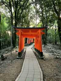 A Quiet Path Through Fushimi Inari Taisha
