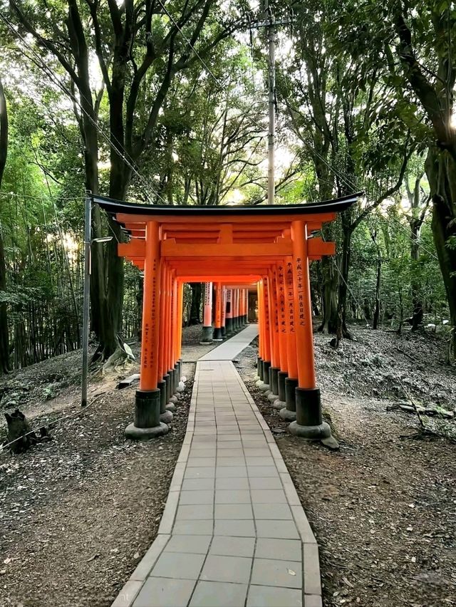 A Quiet Path Through Fushimi Inari Taisha