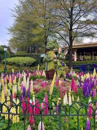 Not Only for Kids: Why Everyone Loves Shanghai Disneyland