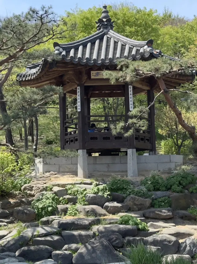 สถานที่ในโซลที่ฉันหลงรัก – ตั้งแต่ของกินริมทางไปจนถึงวิวสวยๆ!