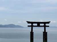 日本關西自駕遊 | 滋賀縣 | 白鬚神社