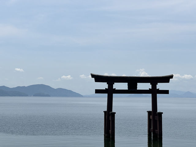 日本關西自駕遊 | 滋賀縣 | 白鬚神社