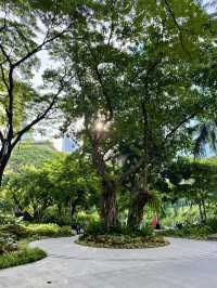 Morning Jog at Ayala Triangle Gardens – A Peaceful Break in the Heart of Makati
