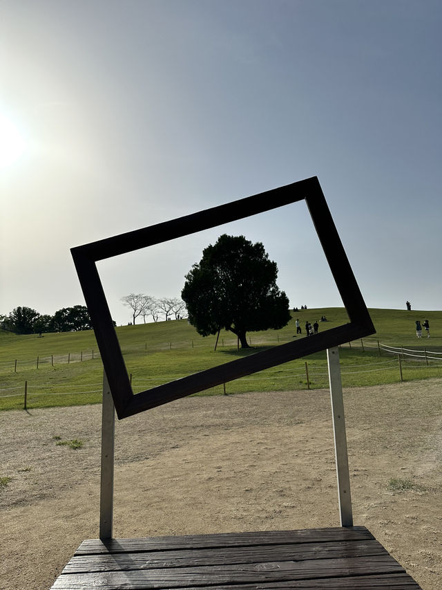 韓妞都愛來這拍「孤獨的樹」🌳 首爾奧林匹克公園全攻略✨
