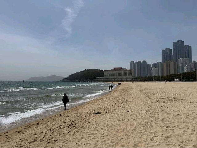 Haeundae Magic