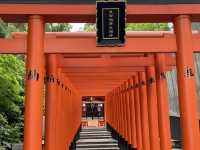 ⛩️🎡🌊 Half-Day in Kobe – Torii Trails & Harbor Lights