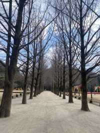🌿 Nami Island ~ Where Nature Feels Like a Poem 🍂